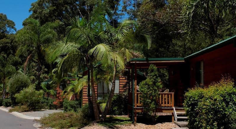 The Palms At Avoca Hotel อโวคาบีช ภายนอก รูปภาพ